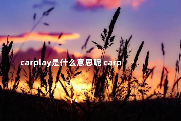 carplay是什么意思呢 carplay发音